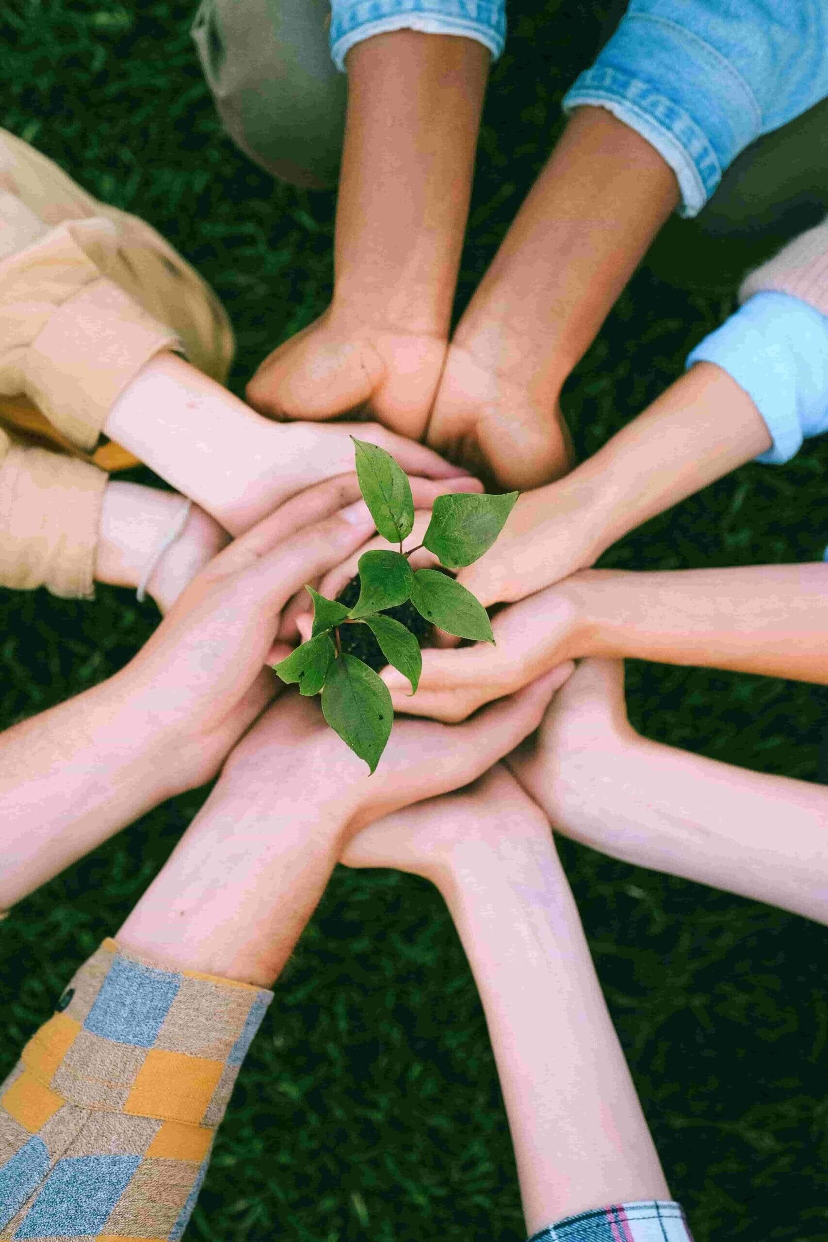 GRC Trust Community Work